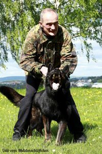aus Mircwidu Zucht Hundesport IPG DDR Sch&auml;ferhund Sch&auml;ferhunde